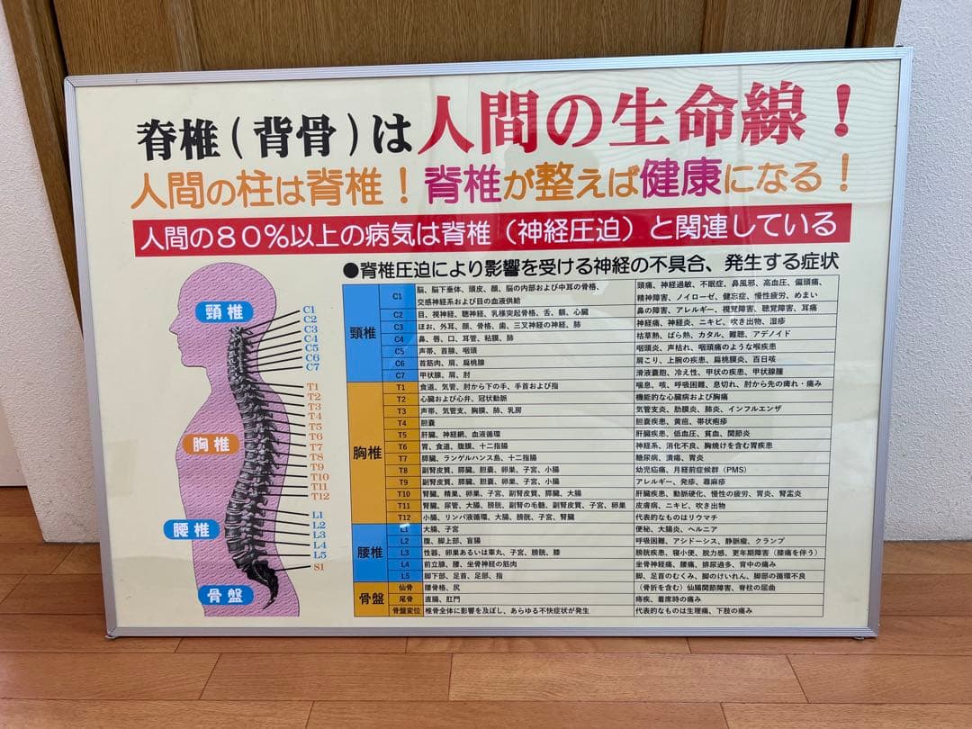 整骨院、整体、カイロプラクティック、院内ポスターの２枚セット