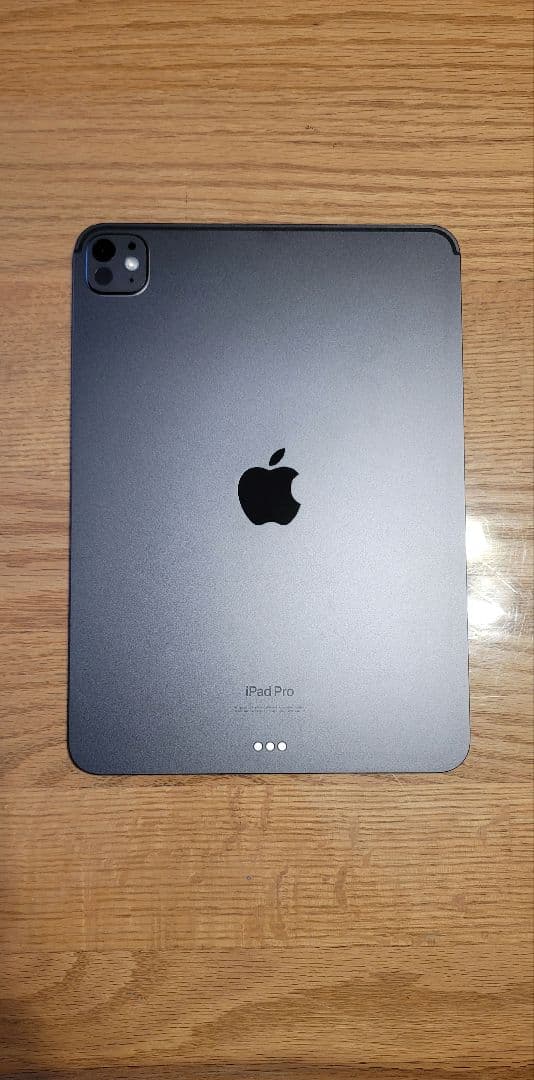 【16GB RAM】iPad Pro 11インチ 1TB M4（実用特価）