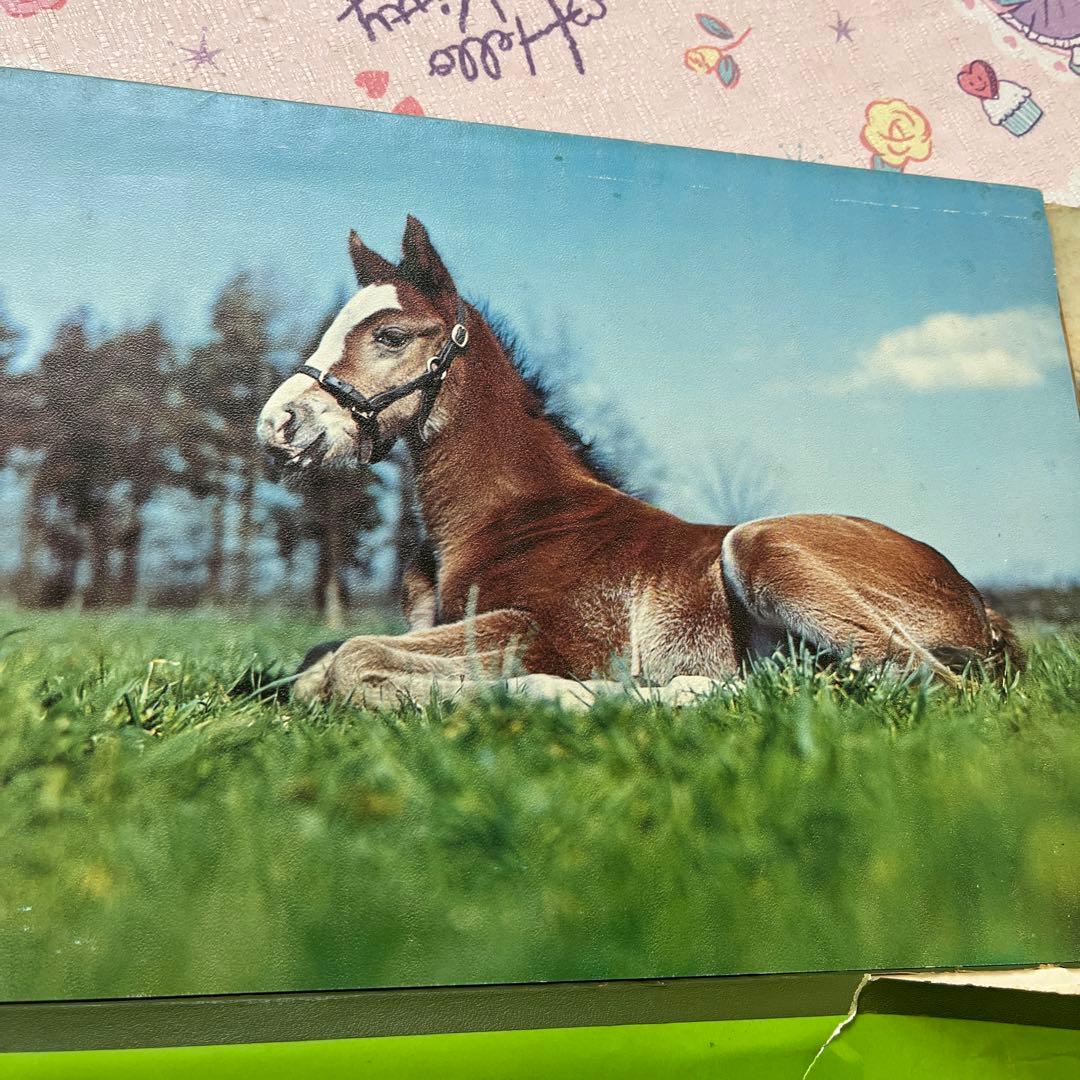 日本中央競馬会　非売品　レア　画用紙　ノート　スケッチブック　コレクションに