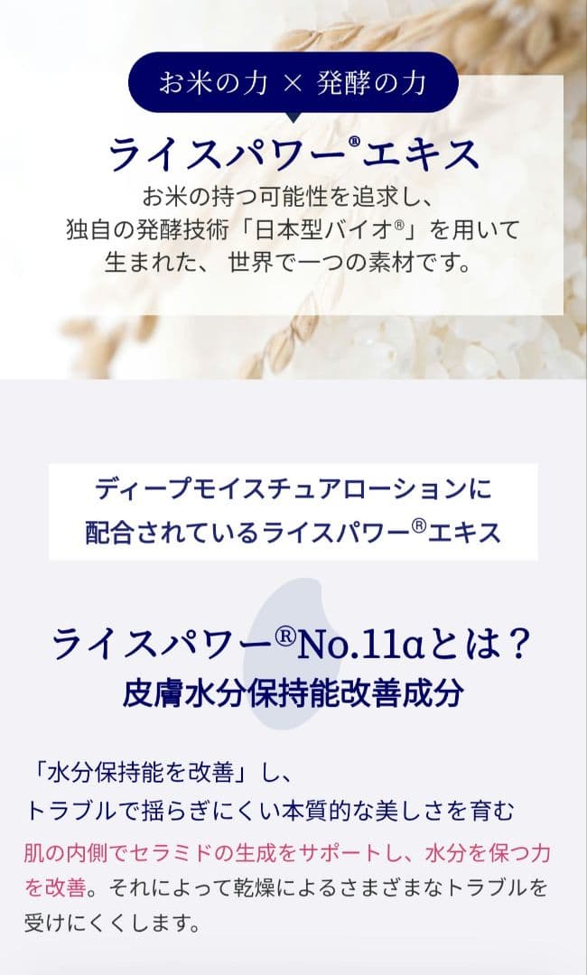 ライスフォース　riceforce　ディープモイスチュア ローション　薬用 保湿