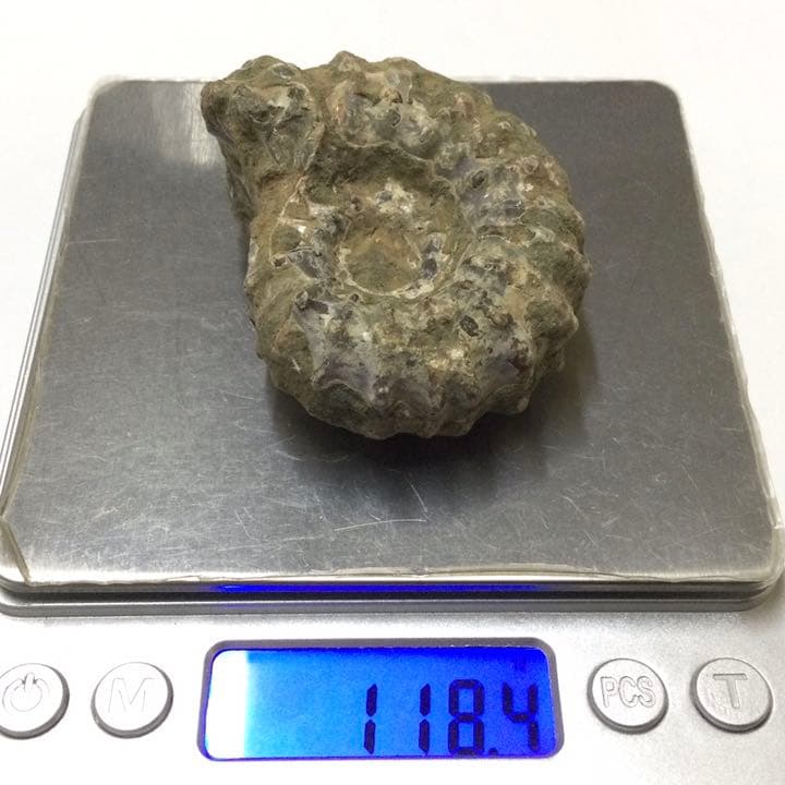 【太古の海の記憶】天然石(化石) アンモナイト 原石 ②