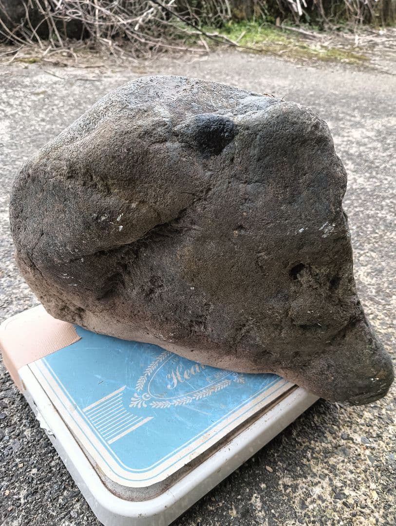 八海石 15kg 新潟県三大奇石