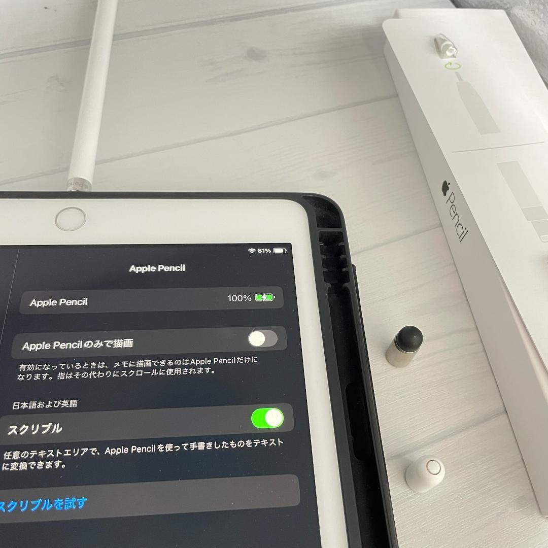 動作確認済み【純正品】Apple Pencil 第一世代 アダプタ＋替え芯