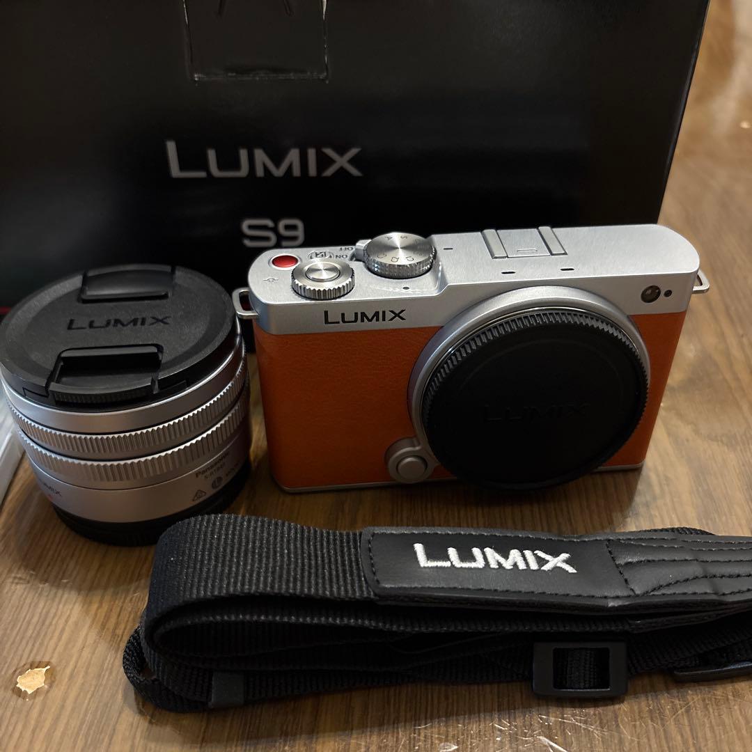 保証書付き パナソニック LUMIX S9 DC-S9N-D 広角ズーム付