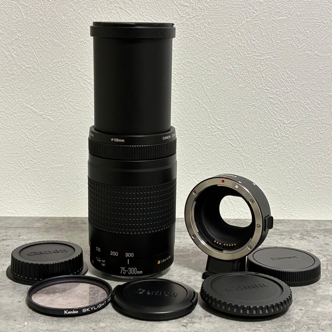 ⭐️美品⭐️Canon EF 75-300 II & EF-EOS M アダプター