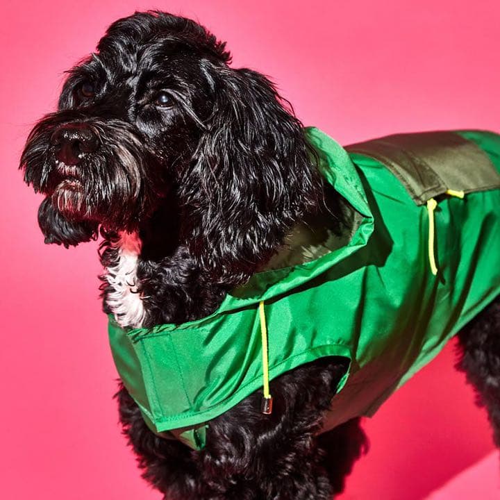 【新品】【輸入品】犬用レインコート(グリーン/オリーブ)サイズ2