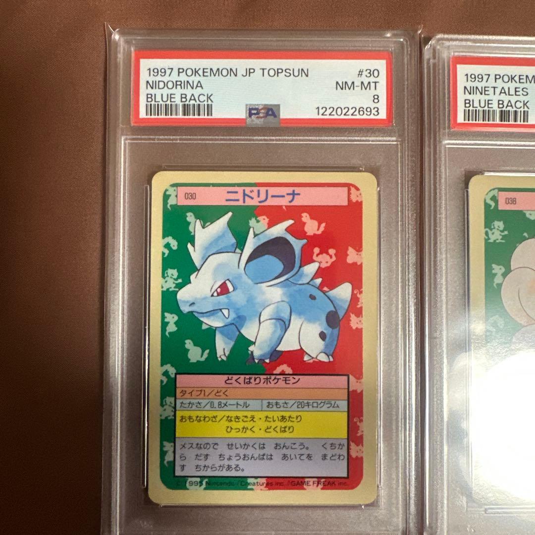 PSA8 【連番 】 ドククラゲ　カモネギ　青裏 トップサン ポケモンカード