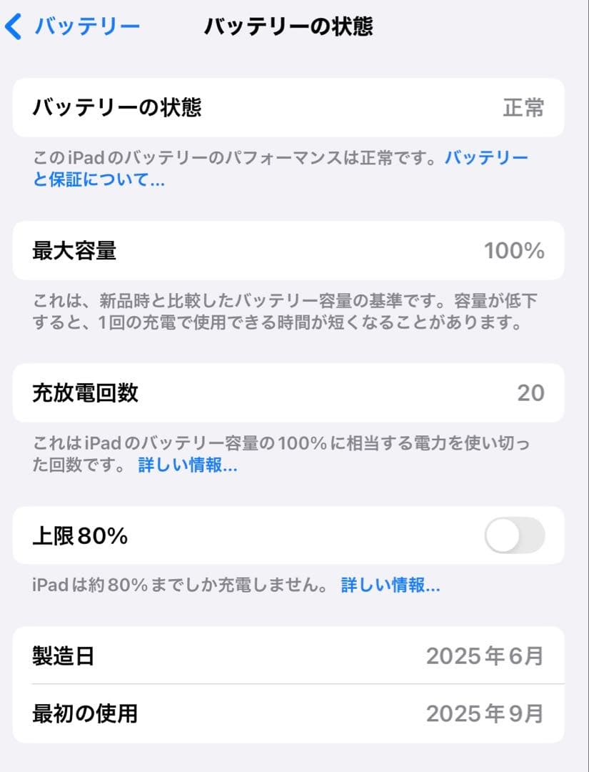 iPad Pro 11インチ スペースグレー Apple Care＋加入