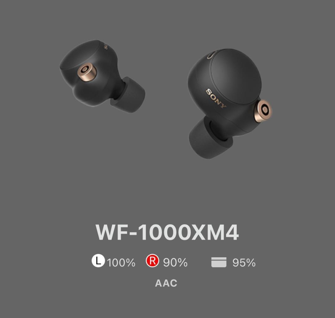 【美品】SONY WF-1000XM4 ワイヤレスイヤホン ブラック 付属品完備
