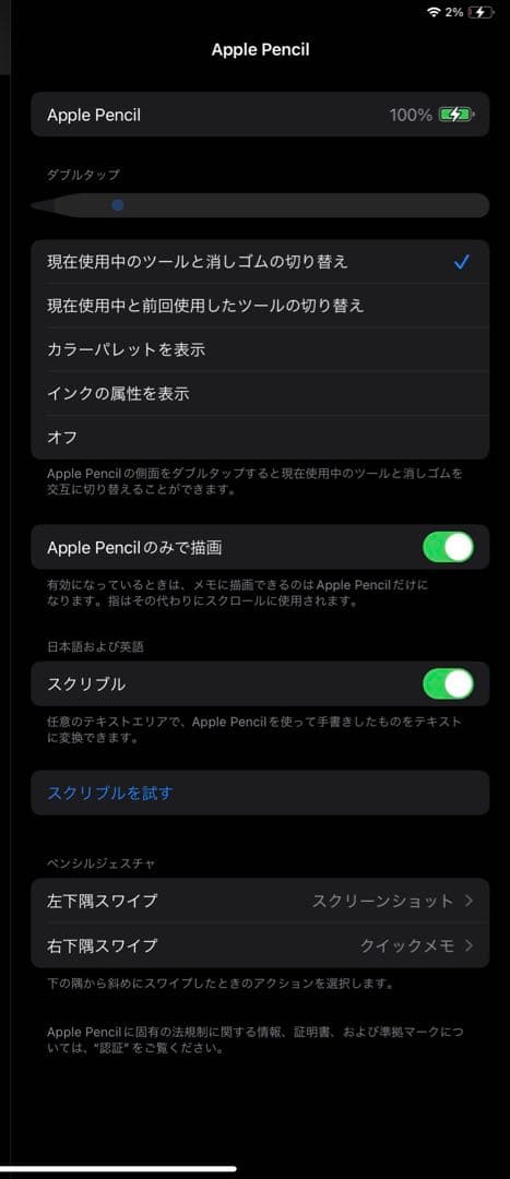 【ペン先新品】Apple Pencil 第2世代 箱あり 動作確認済み 刻印なし