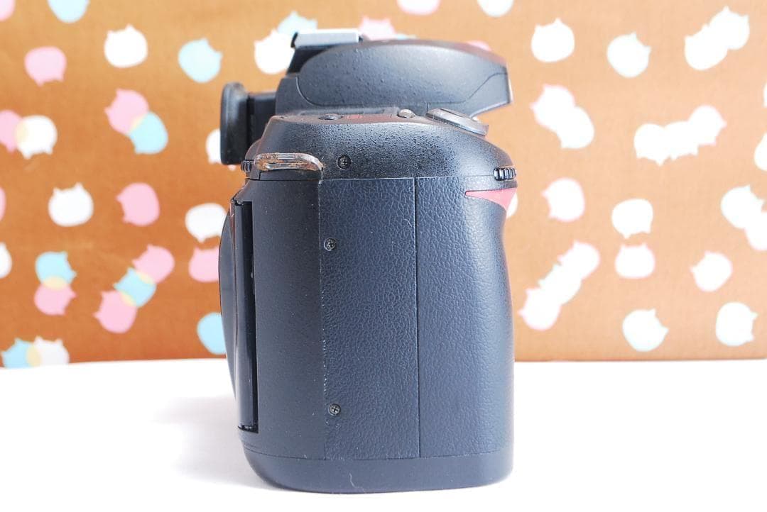 ✨ショット数1205回✨訳あり特価✨Nikon D70s レンズセット
