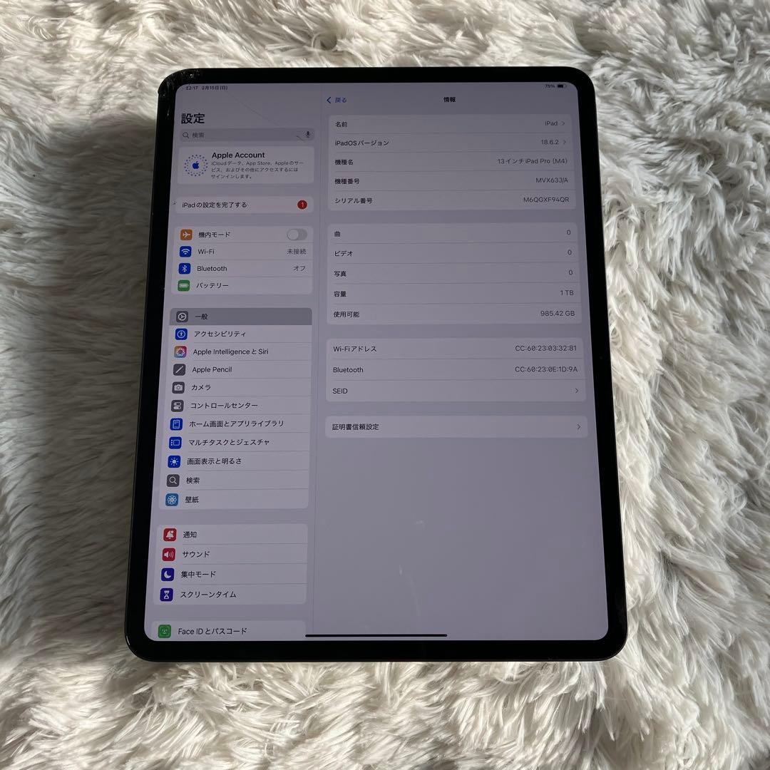 【早い者勝ち】iPad Pro 13インチ1TB 【すぐ発送】