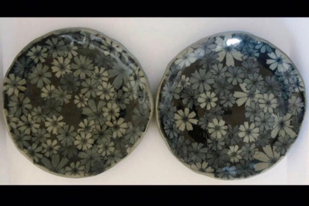 SALE！！新品 辻 修窯 丸皿 コスモス がいっぱい 皿 サイン 日本 高級