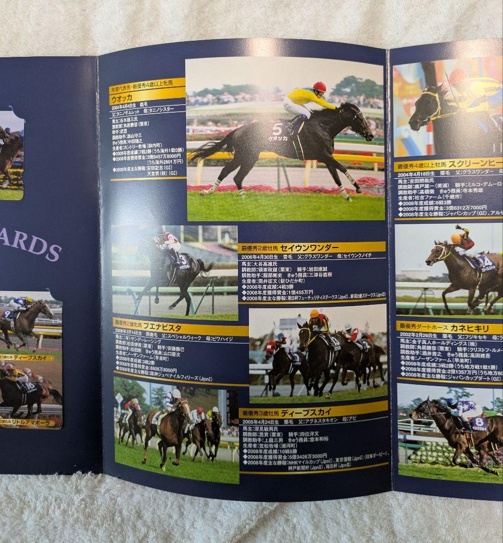 ウォッカ競馬　2008 JRA AWARDS 冊子
