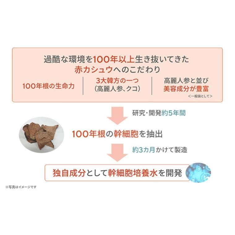 サイムダンプレミアム ファーストクラス パーフェクトリッチクリーム3個