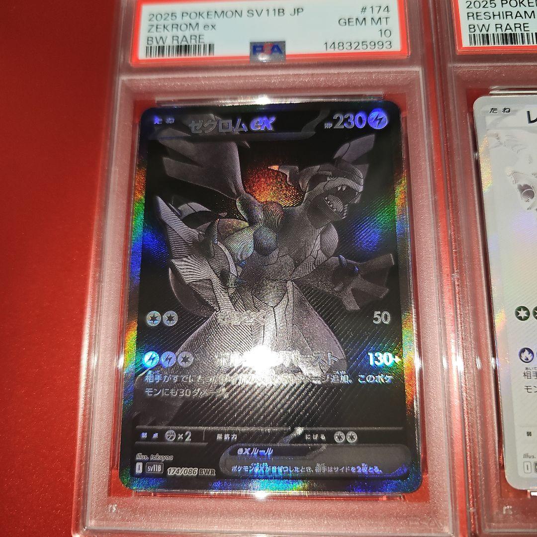 PSA10連番 ゼクロムex レシラムex BWR 2025