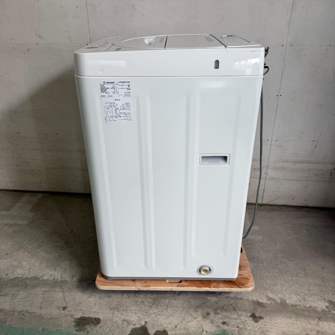 分解洗浄済み！SHARP 洗濯機 小型 一人暮らし 5.5kg 2024年製
