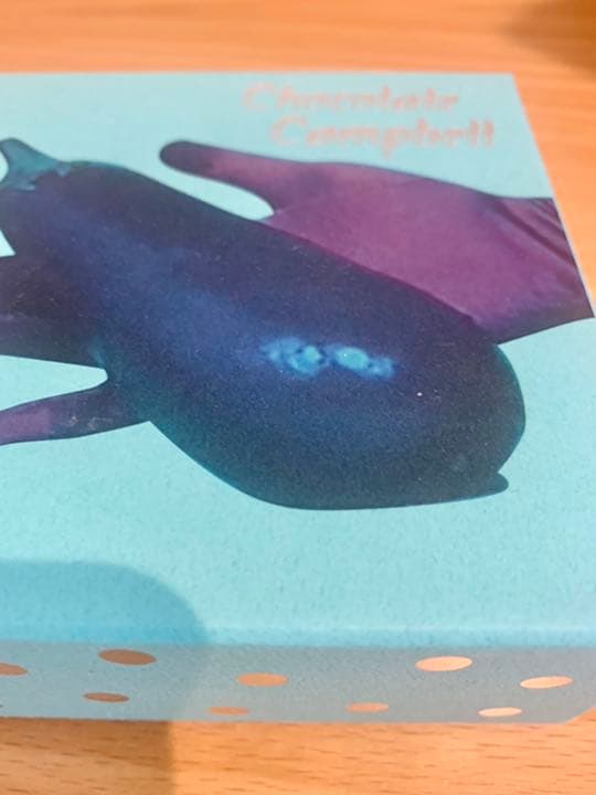 チョコレート　キャンベル（Chocolate Campbell）