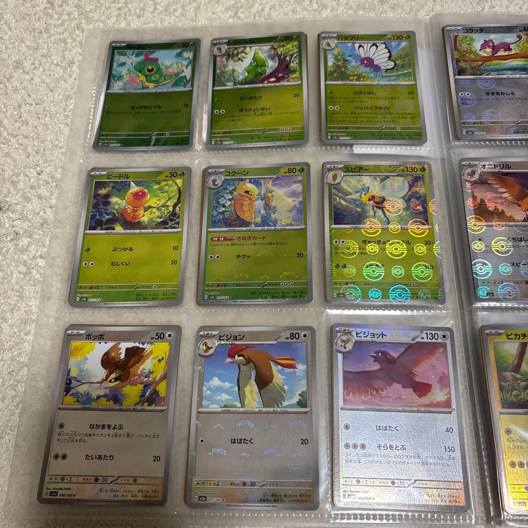 sasashijing614品