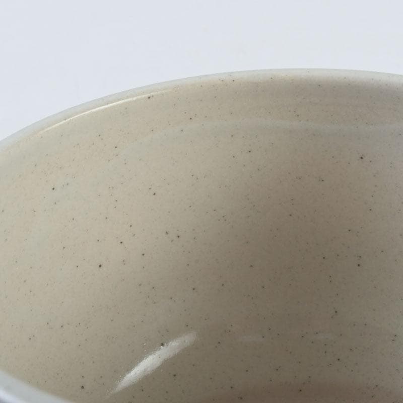 茶道具　膳所焼　淡海ぜぜ　陽炎園造　而妙斎筆　茶碗　共箱　V　9555