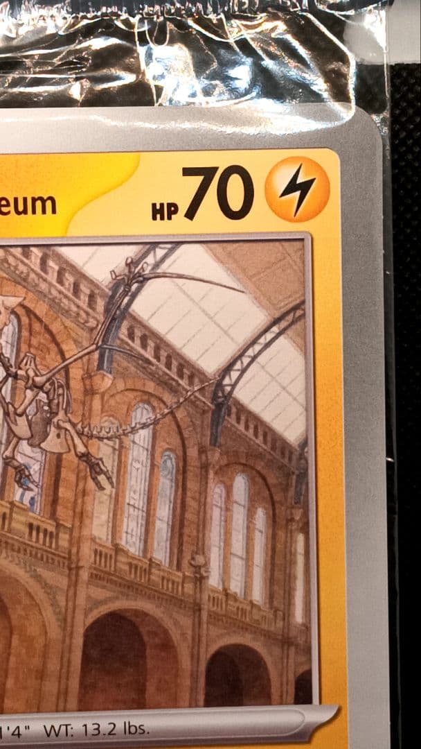 グ*チ様 ポケモン カード 博物館 ピカチュウ at the Museum　 安