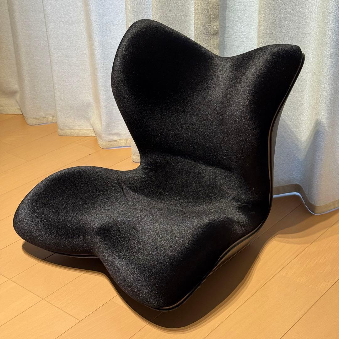 Style PREMIUM DX スタイルプレミアムデラックス ブラック