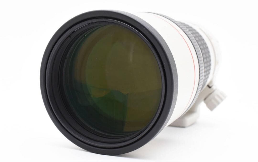 ★美品★ Canon EF 300mm F4L USM 超望遠単焦点 Lレンズ