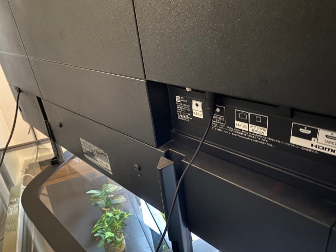 (3/10まで) 55インチ　SONY BRAVIA 有機ELテレビ　4K