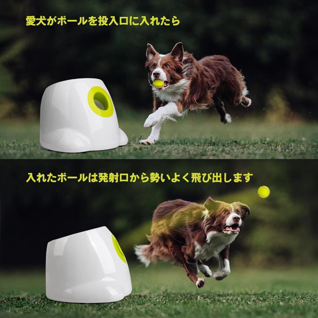 自動ボールランチャー