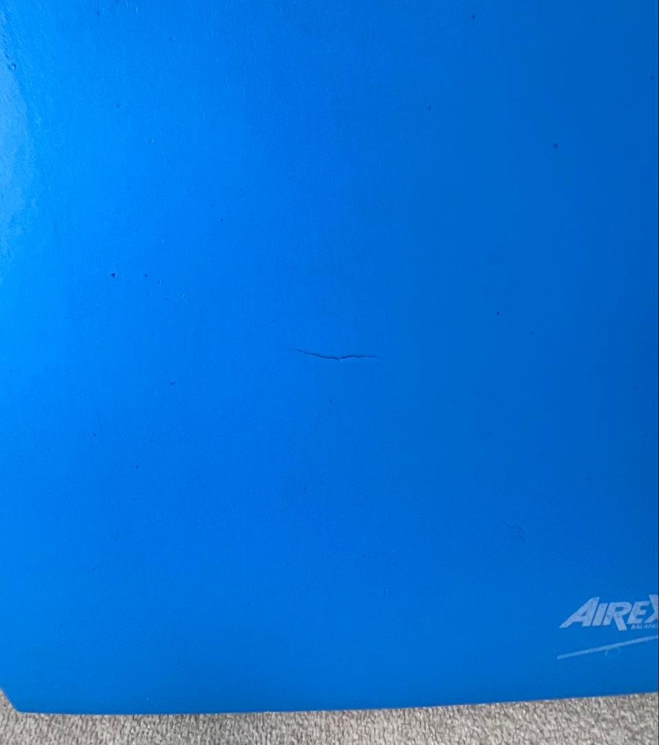 AIREX バランスクッション 青