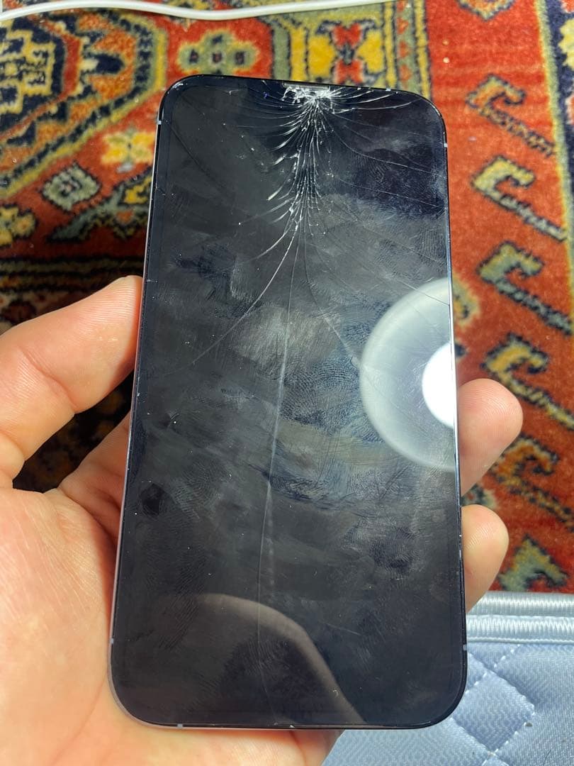 Apple iPhone13 Pro ジャンク品 部品取り用 本体