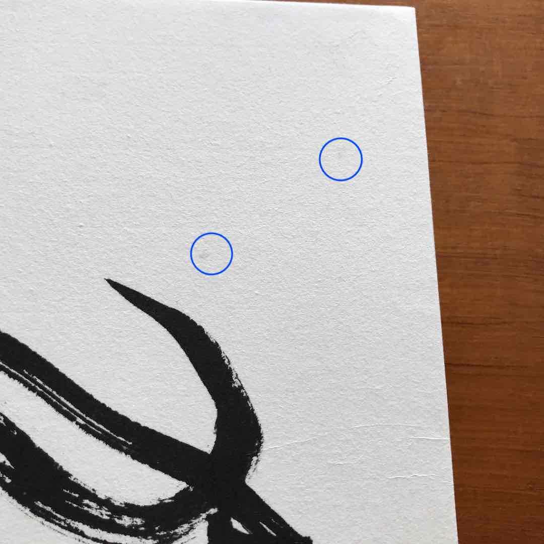 田嶋陽子　書アート　「楽しめ」