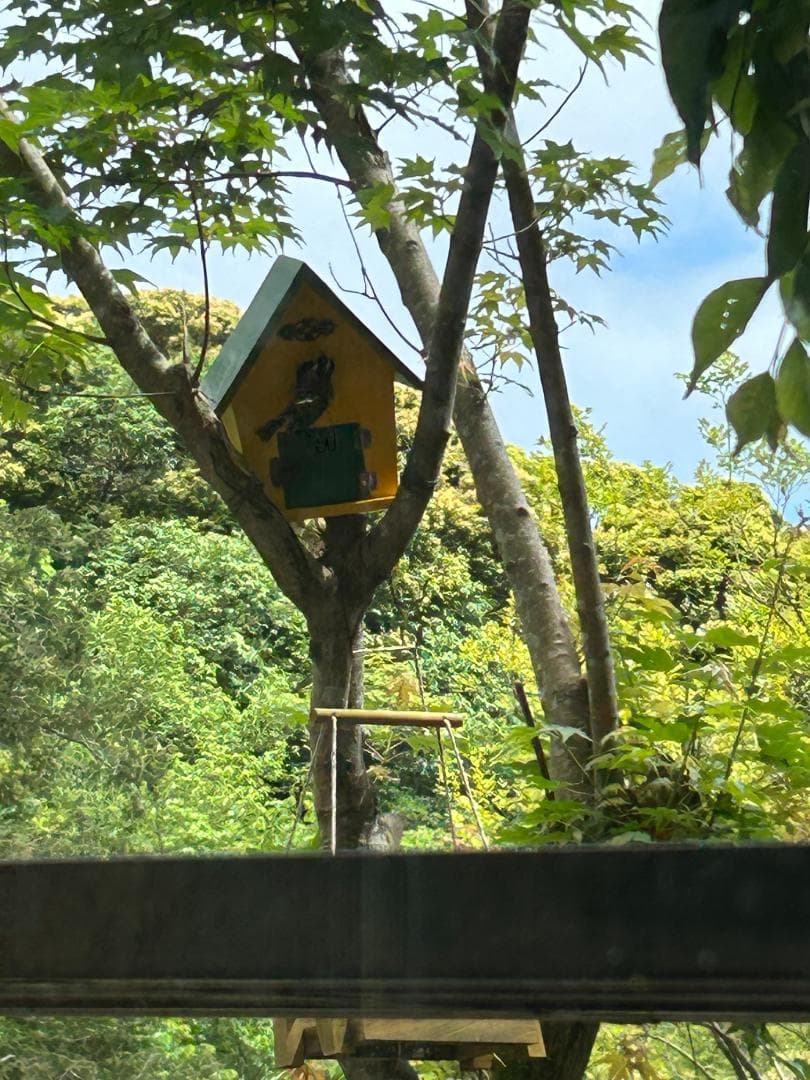 鳥の巣箱写真