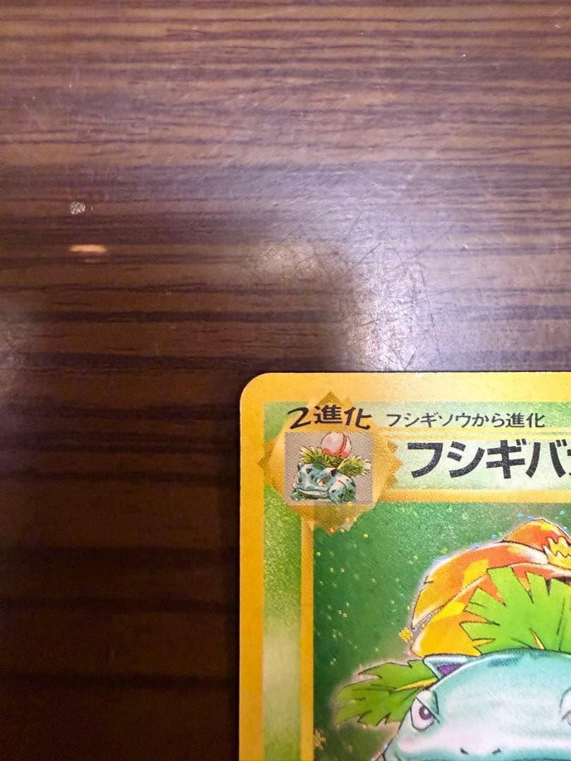 フシギバナ ★ 第1弾拡張パック　旧裏　初期　マークあり