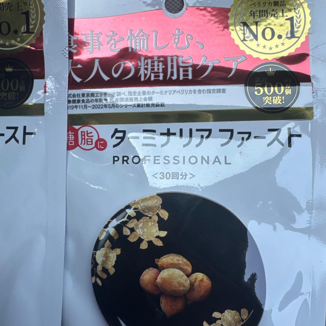 ターミナリアファースト PROFESSIONAL 30日分
