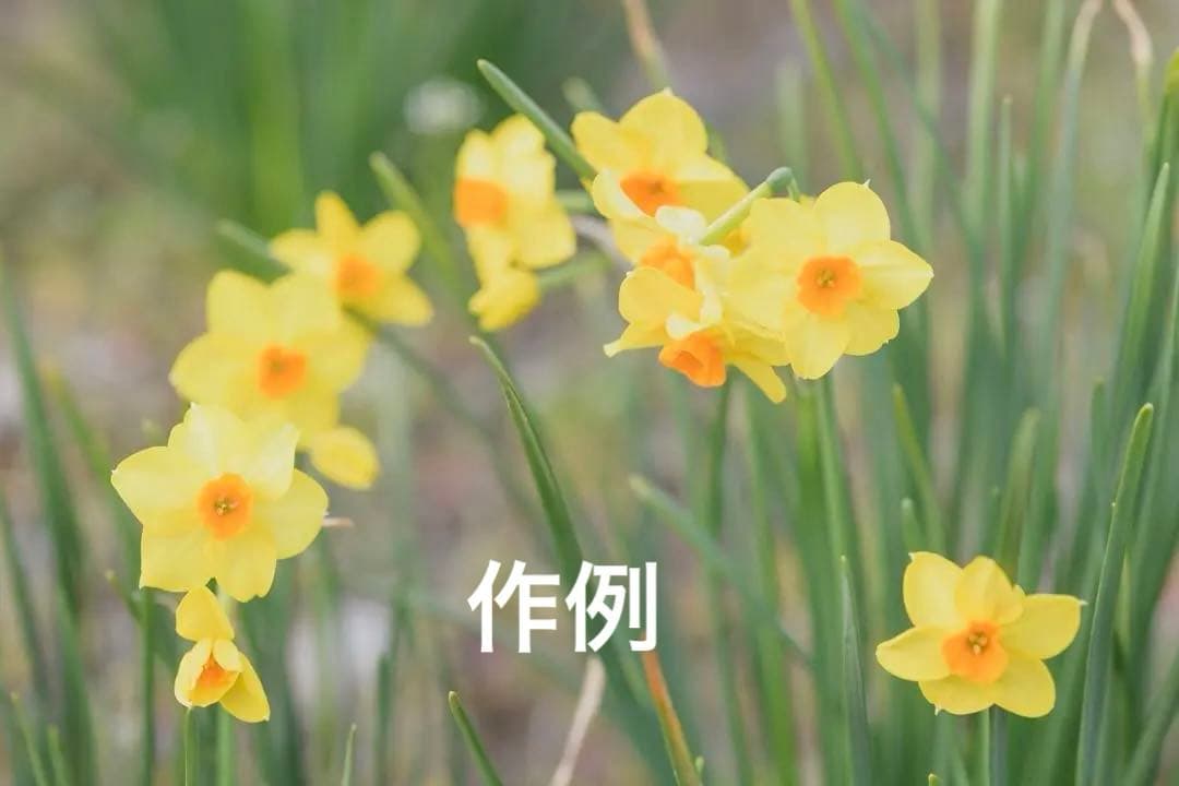 タイムセール⬜️Nikon Z 5 ボディ（即発送可能）⬜️