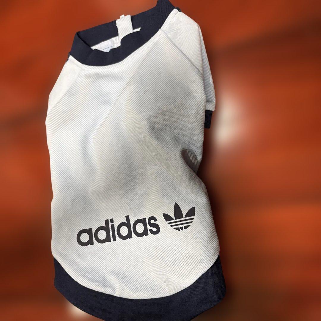 adidas 水色 犬 ジップアップウェア　Ｌ