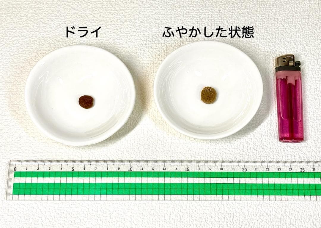 Orijen オリジンシックスフィッシュ ドッグ 2kg 2袋 日本正規品