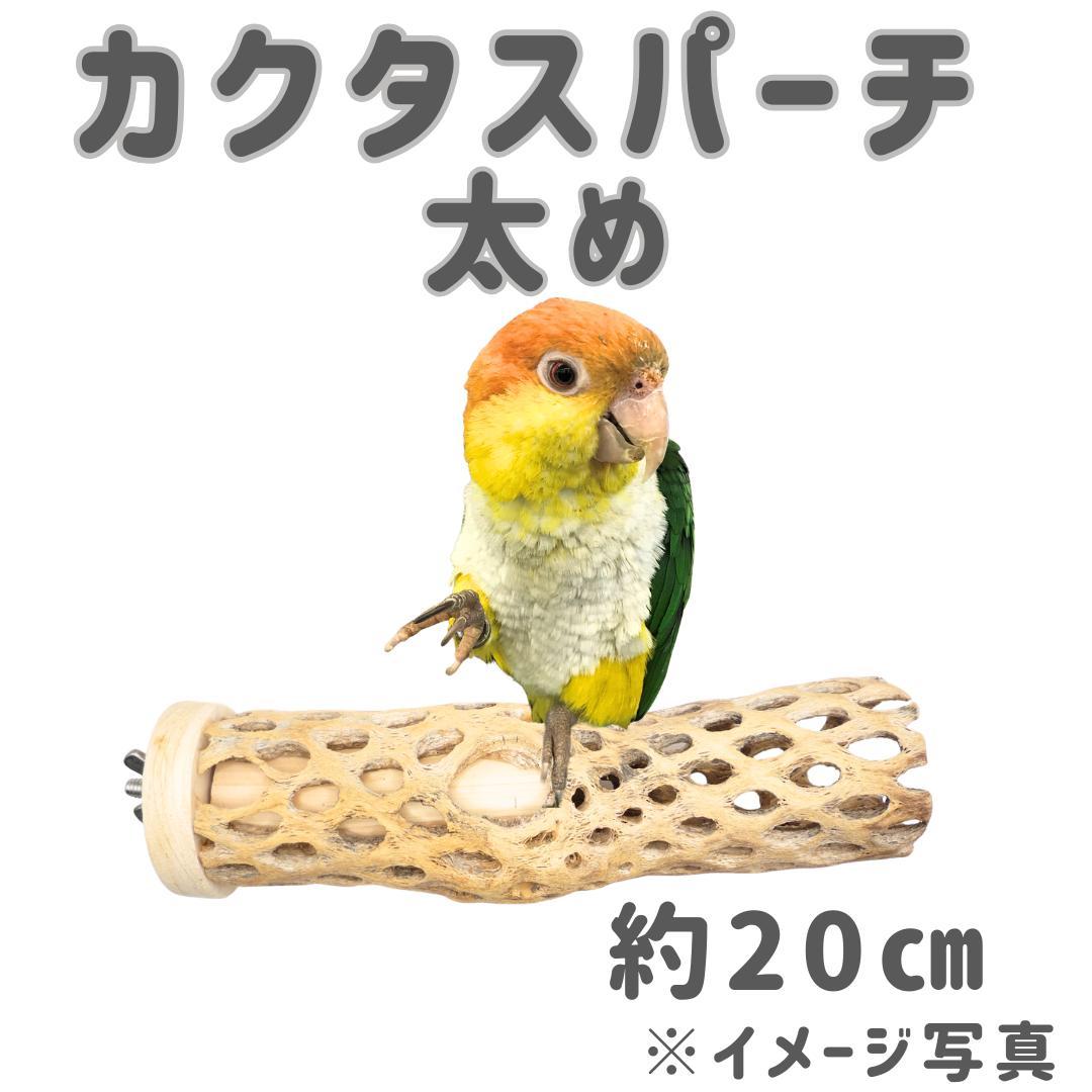 tokotoko　カクタス　スケルトン　パーチ　No.125、121