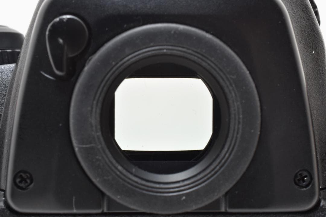 ★撮影枚数1,565枚・美品★ニコン Nikon D2x ボディ #21924