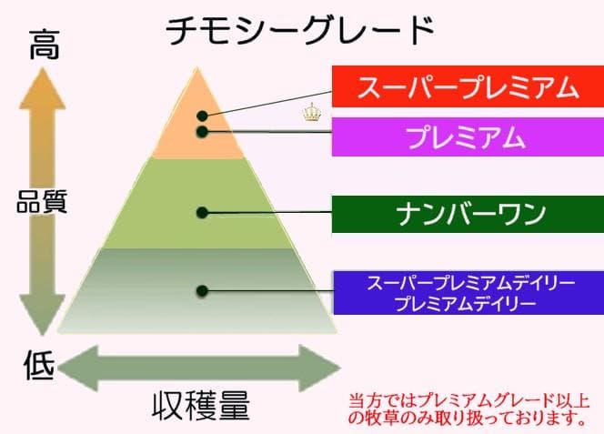 【家計応援価格】 カナダ産 チモシー 30kg スーパープレミアム １番刈り