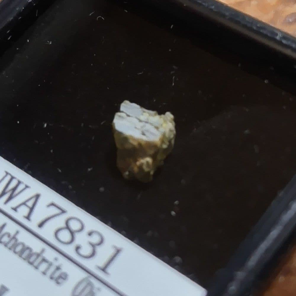 ⭐小惑星ベスタ起源　ＮＷＡ7831隕石標本