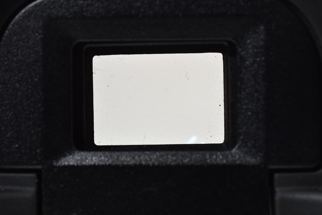 美品 Canon EOS-1 専用革ストラップ #9454