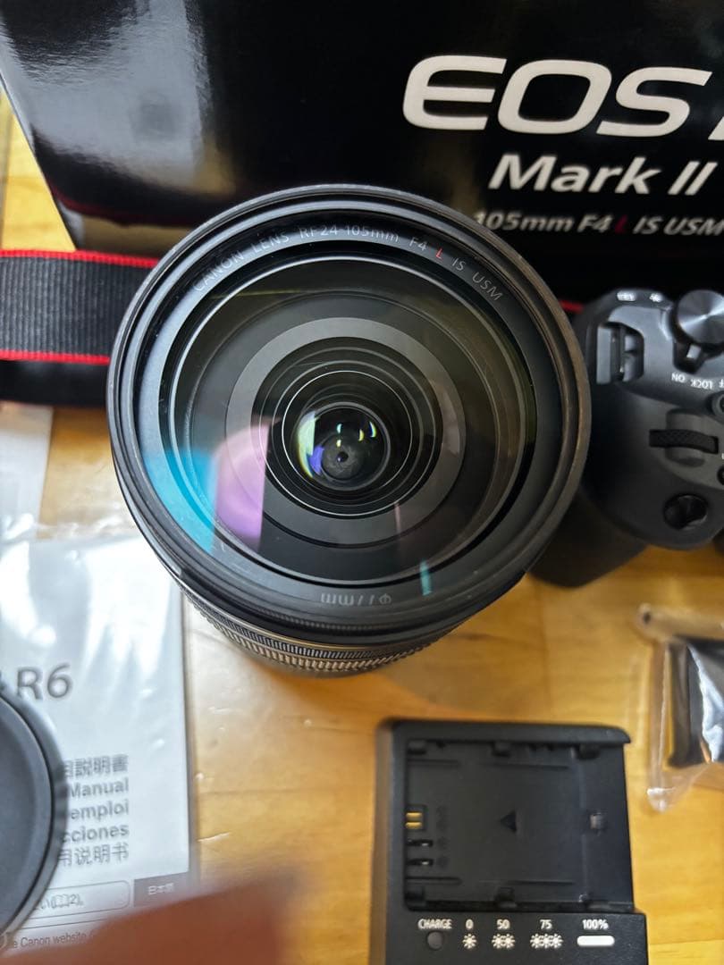 極美品！Canon EOS R6 Mark II Lレンズキット　その他セット