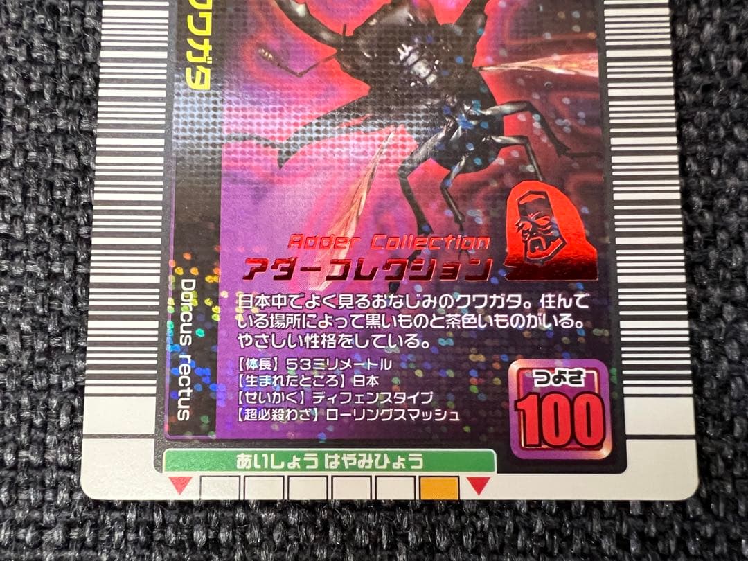 2005夏限定 ムシキング コクワガタ アダーコレクション 009-A トレカ