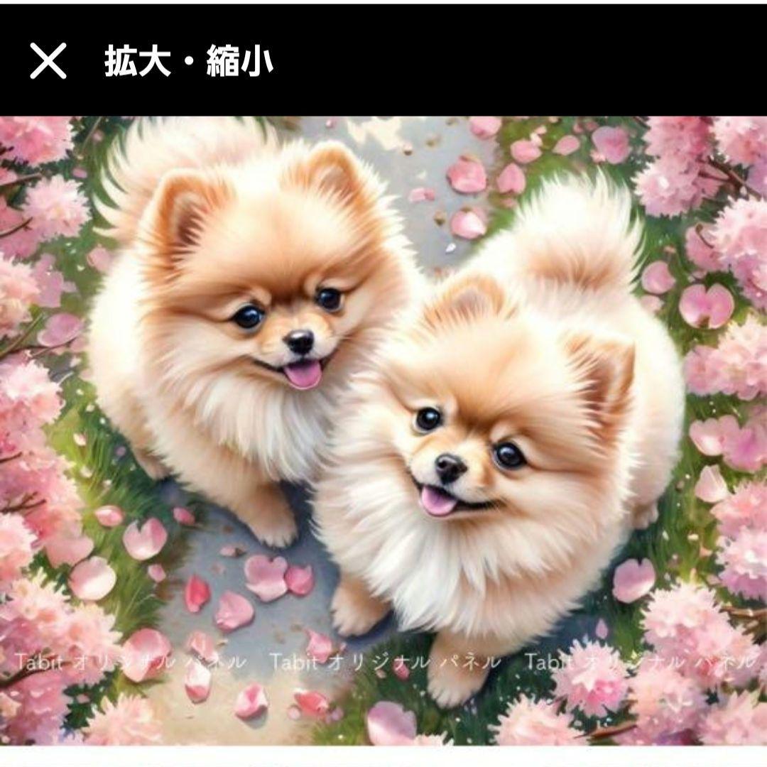 春のポメラニアンパネル生地　ハンドメイド