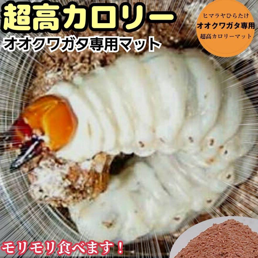 オオクワガタ専用　超高カロリーマット【50L】栄養添加剤3倍配合！生オガ特殊発酵