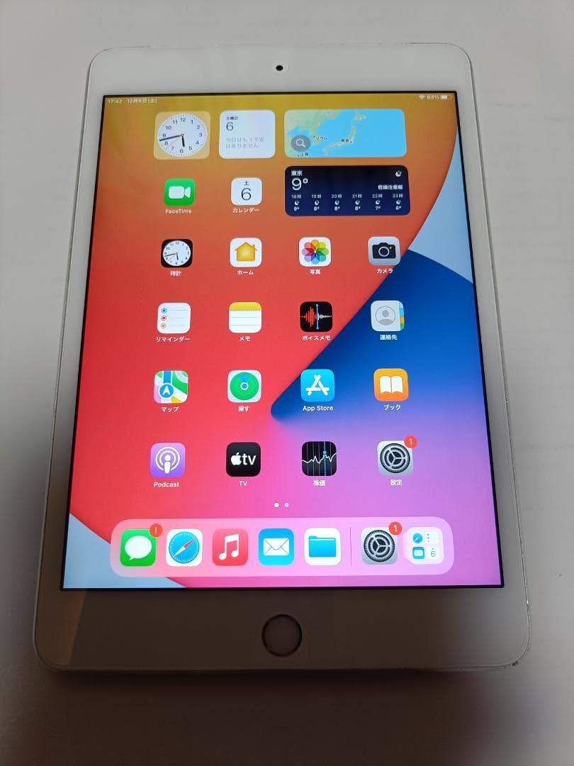 iPad mini 4 Wi-Fi+Cel 16GB MK702J/A シルバー