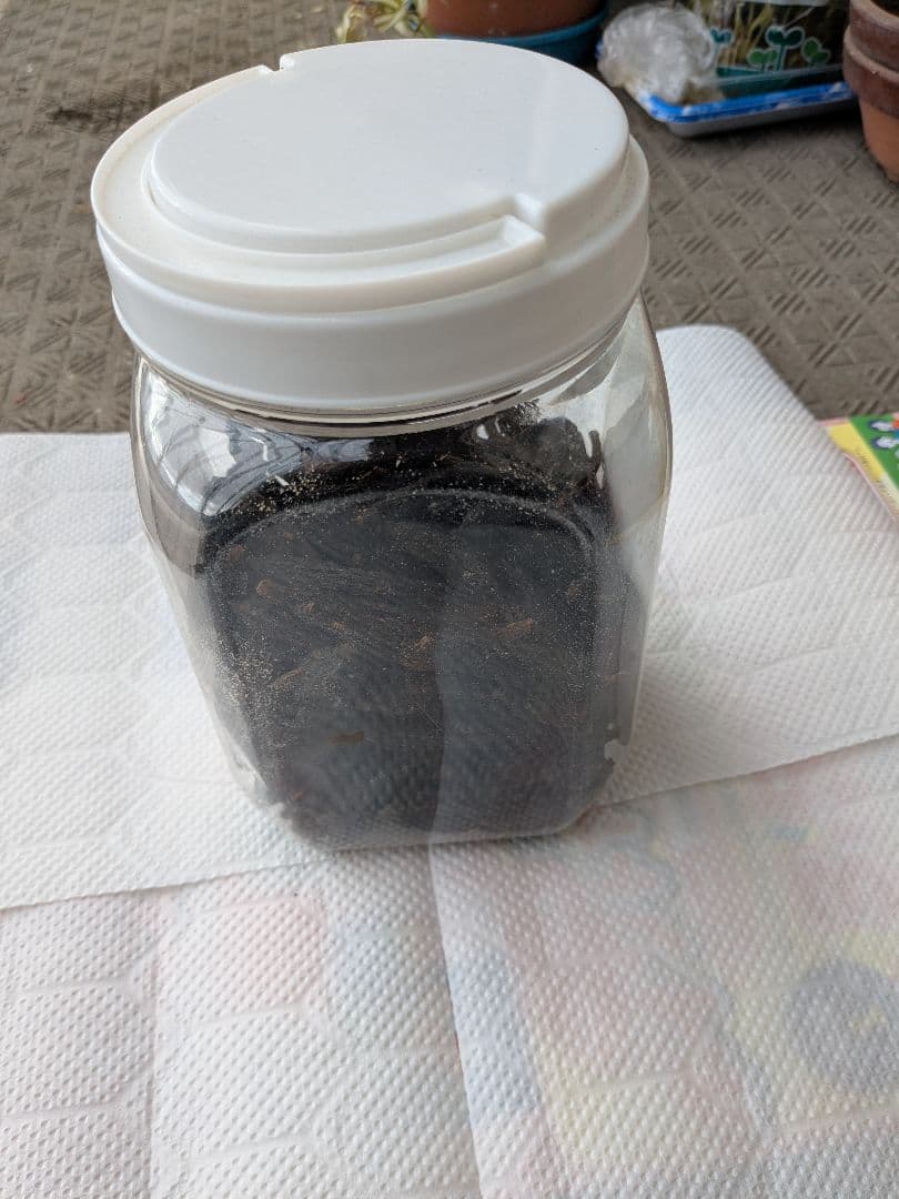 乾燥ツチアケビ　400g