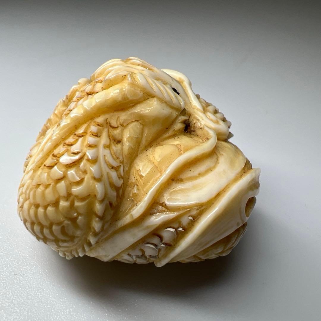 極上龍根付　19g 東Y8-0306☆2F